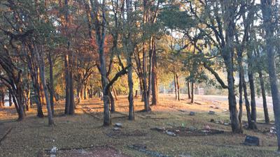 cemetery
